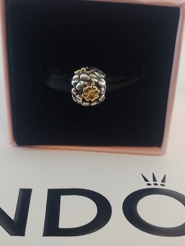 Pandora charm lucky clover - pandora,